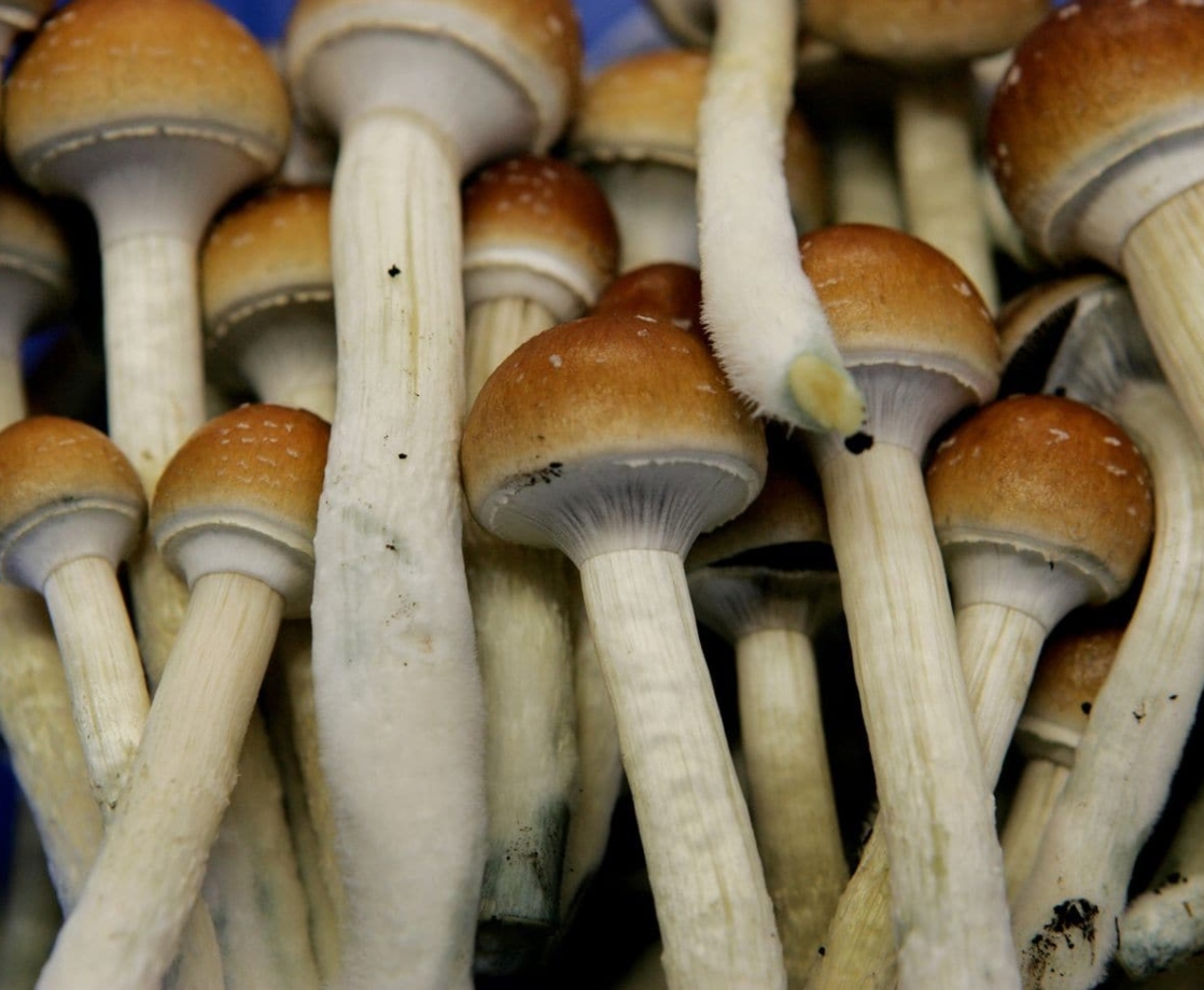 Can Psilocybin Therapy Treat Anorexia? A New Study Aims to Find Out
