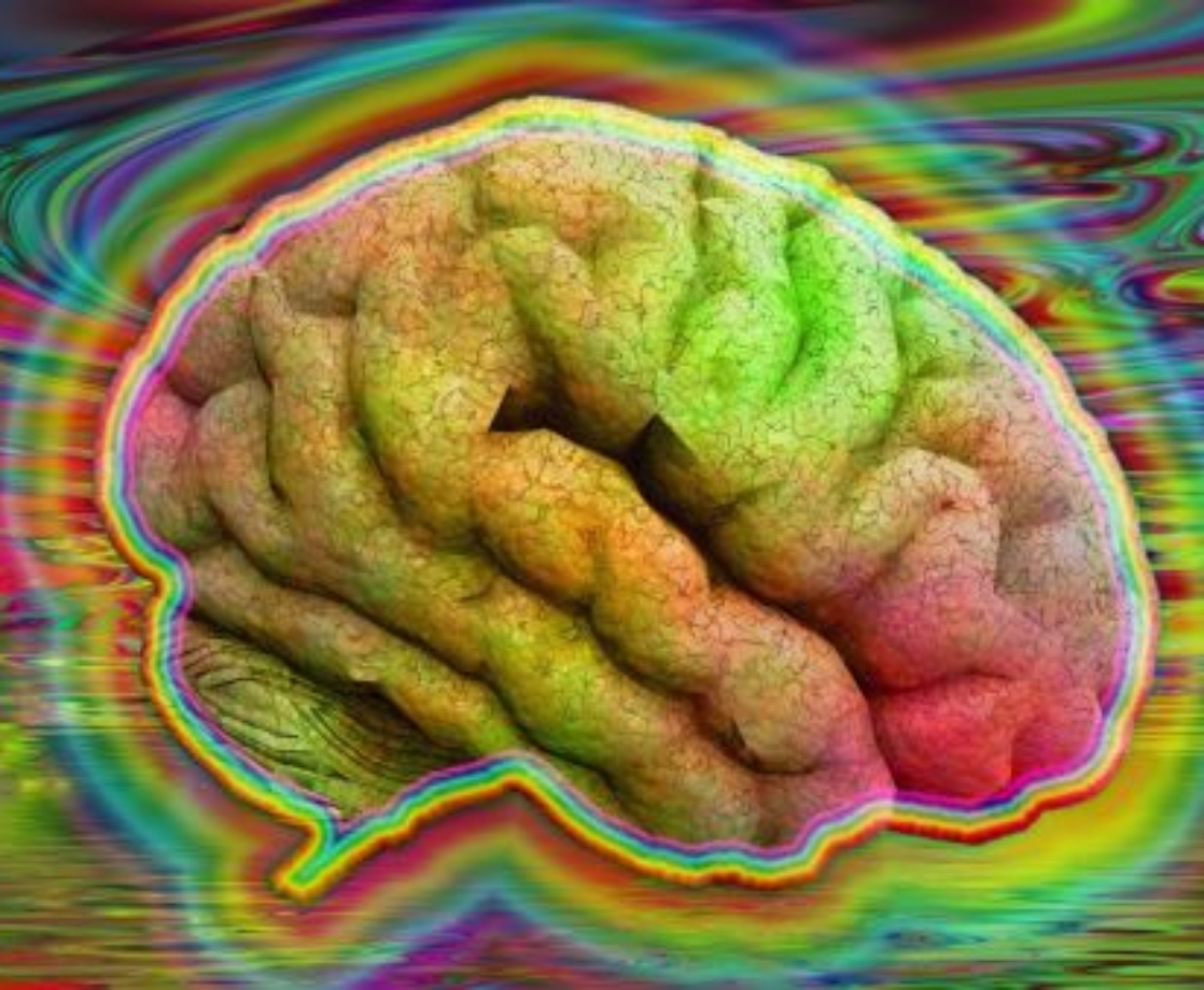 The Top Medical School in the US Now Has a Psychedelics Research Center