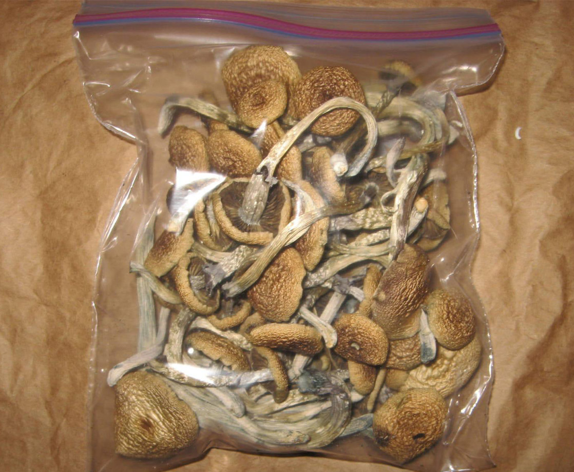 Vancouver Just Rejected a Ban Against Selling Magic Mushrooms