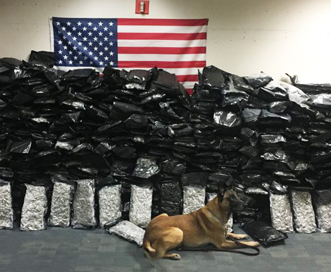 Police Dog Uncovers Over 600 Pounds of Pot in Florida Traffic Stop