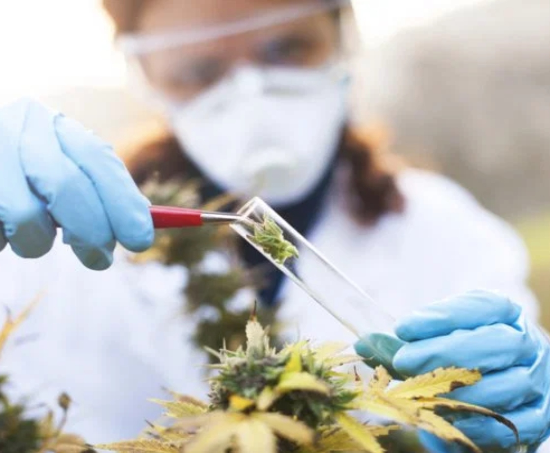 Scientists Are Starting to View Cannabis as a Treatment for Autism