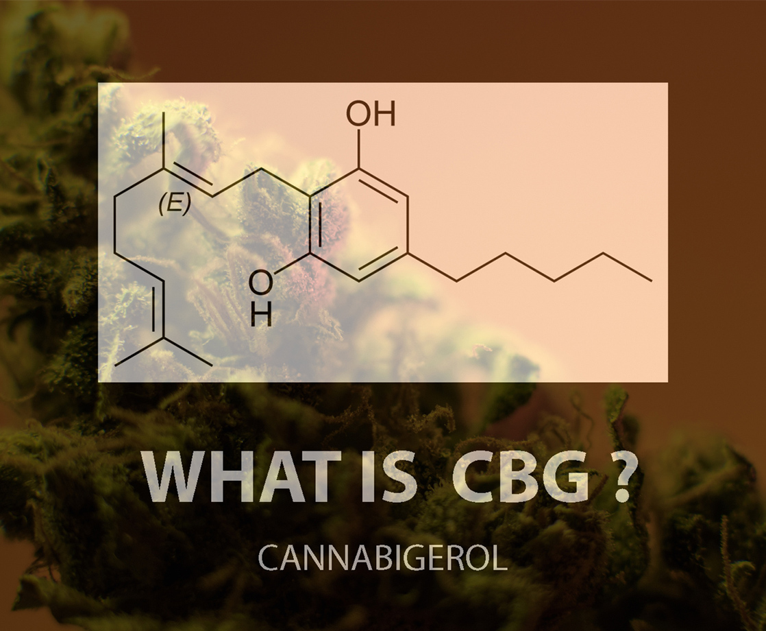What Is CBG and What Are The Benefits of This Cannabinoid?