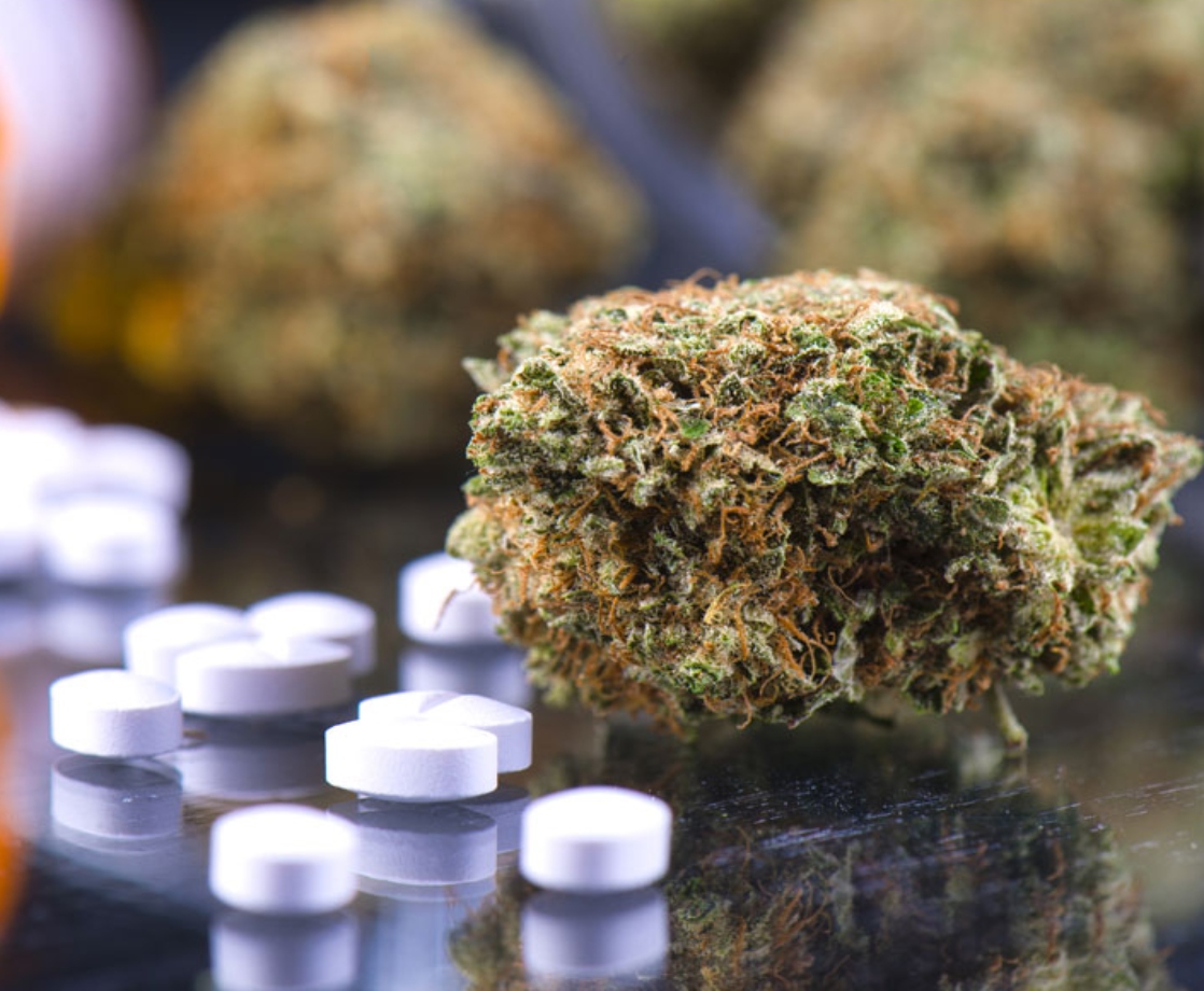 Medical Cannabis Helps Chronic Pain Patients Get Off Opioids, Study Shows