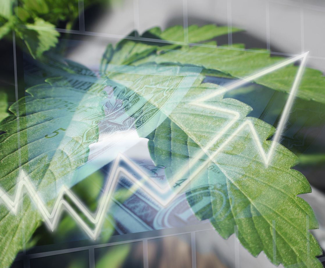 Is the Cannabis Industry Seeing Its First Market Crash?