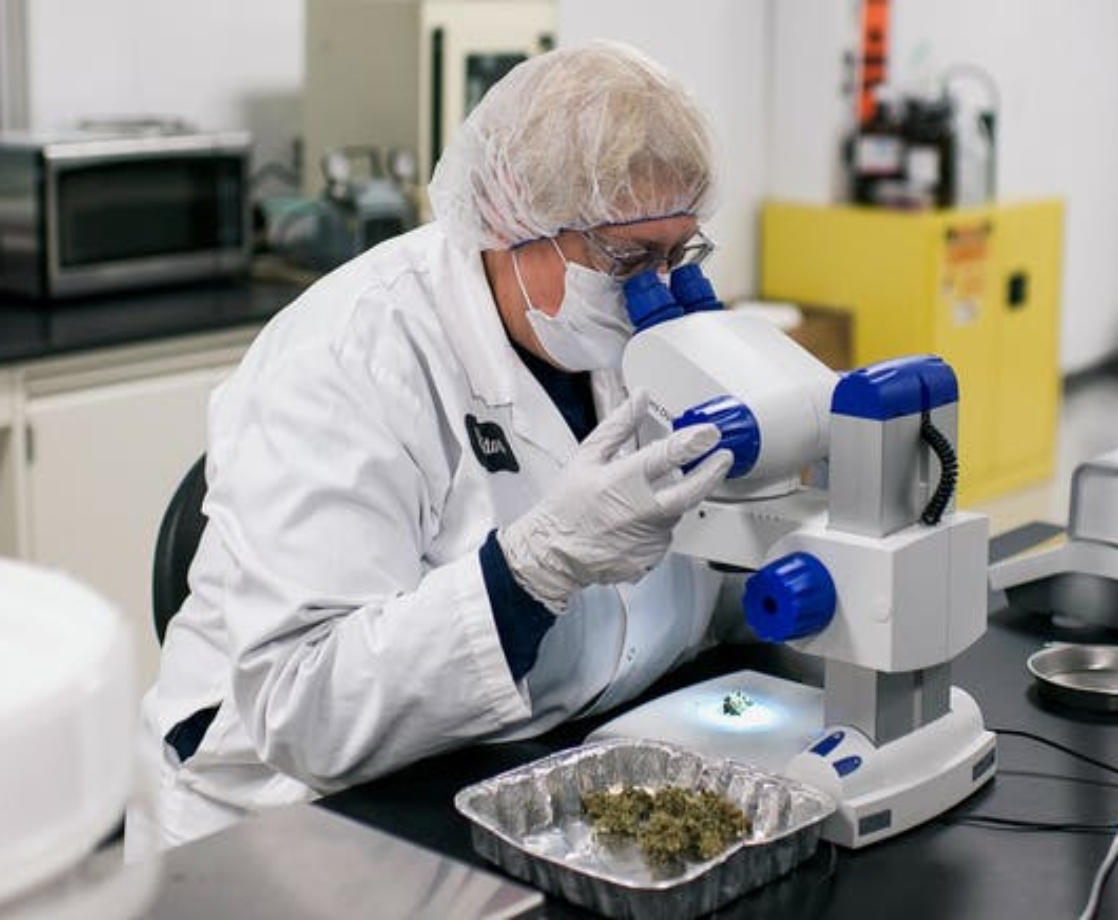 UC San Diego Receives $3 Million to Conduct Official Research on CBD