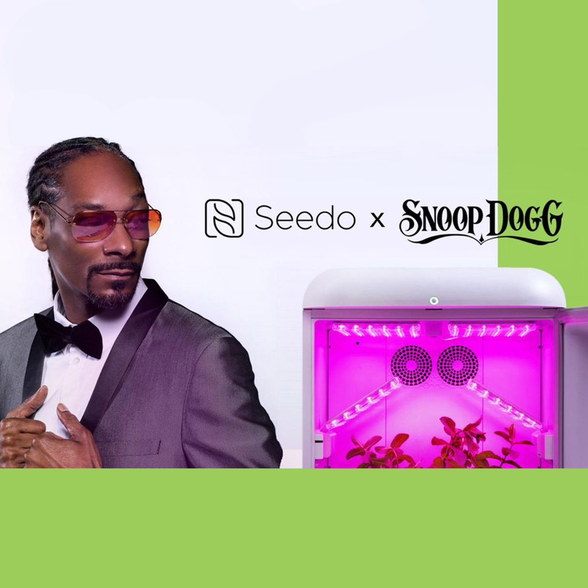 Snoop Dogg and Seedo Want You to Grow Your Own Plants with This High-Tech Nursery