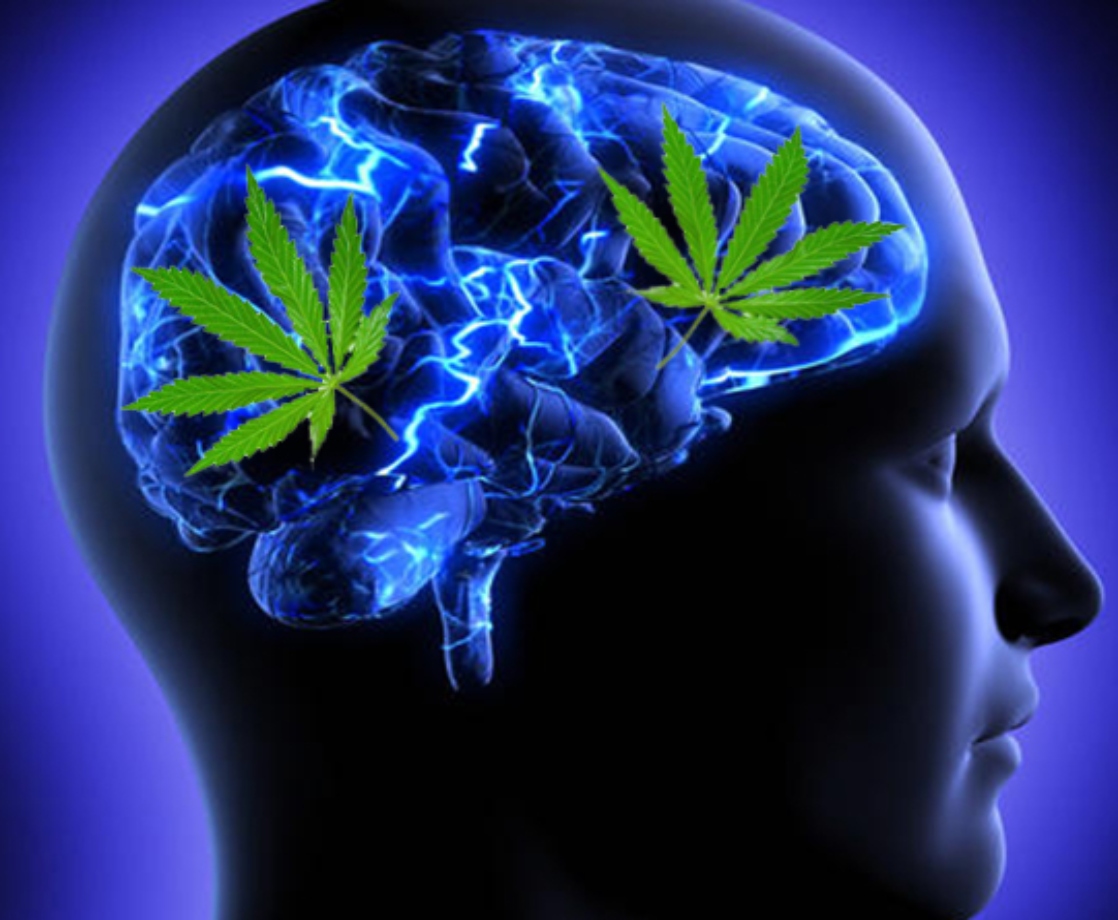 A New Study Says Weed Doesn’t Help with Mental Health, But Is It BS?
