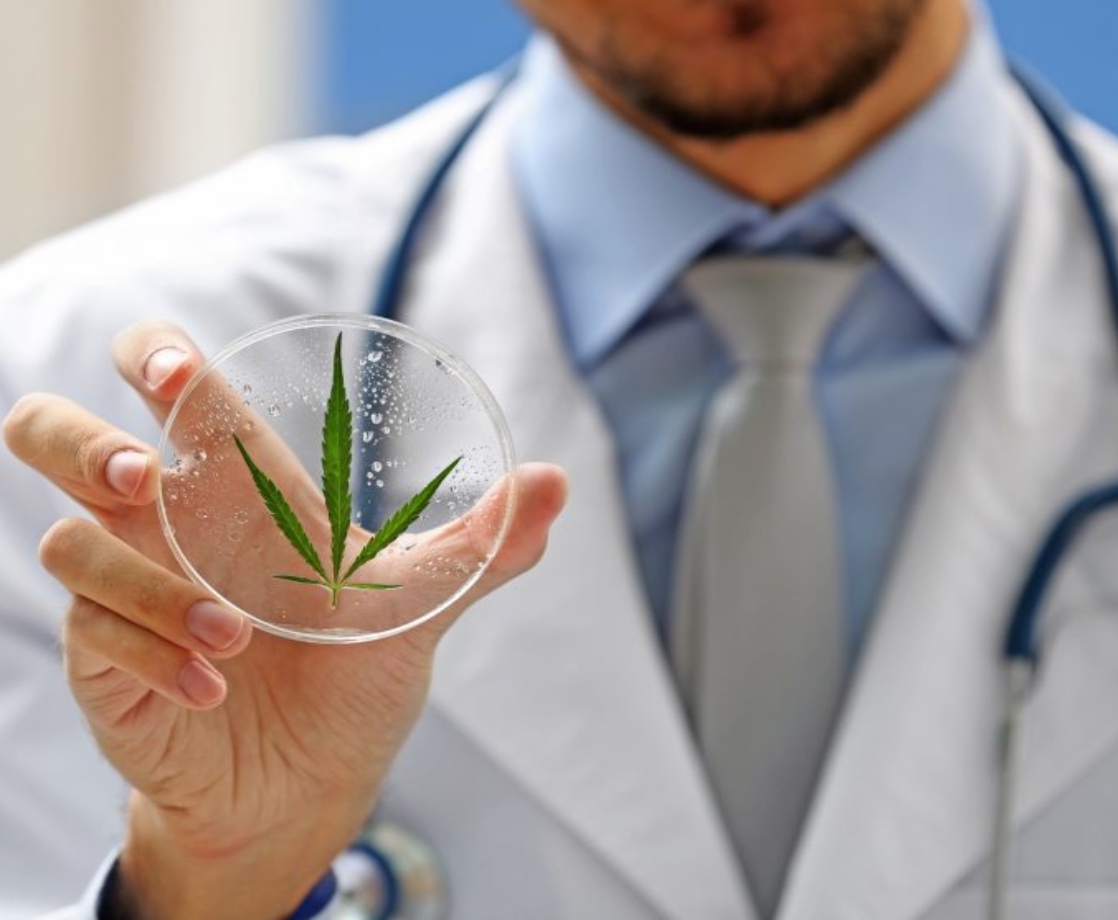 The Feds Just Approved a “Groundbreaking” Medical Marijuana Study at Yale