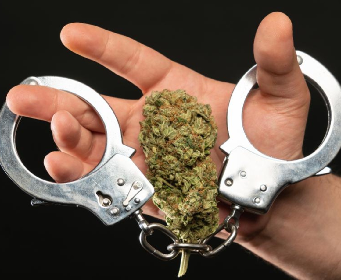 Miami Cops Are Still Busting People for Weed Despite Decriminalization
