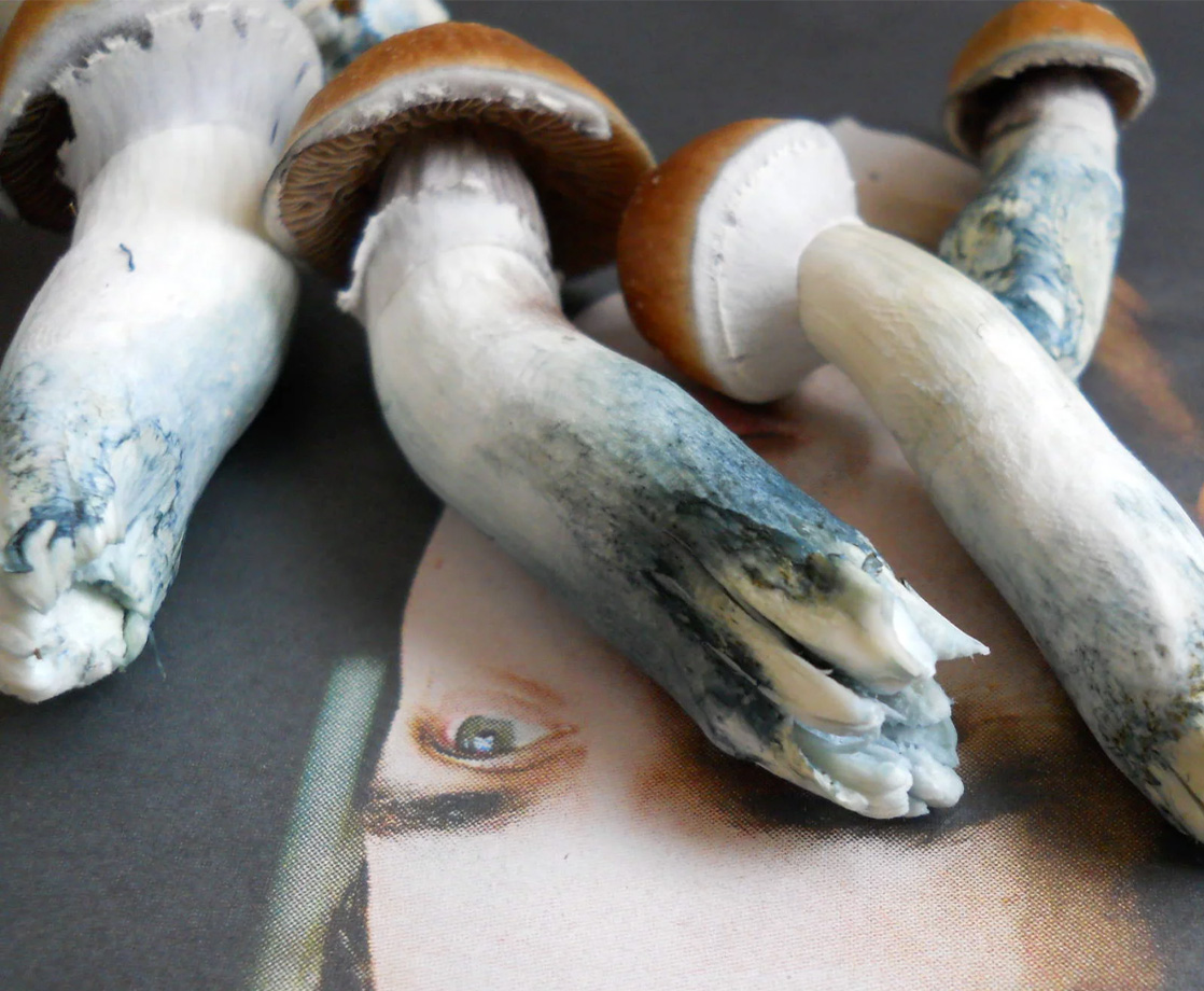 Scientists Finally Figured Out Why Magic Mushrooms Turn Blue