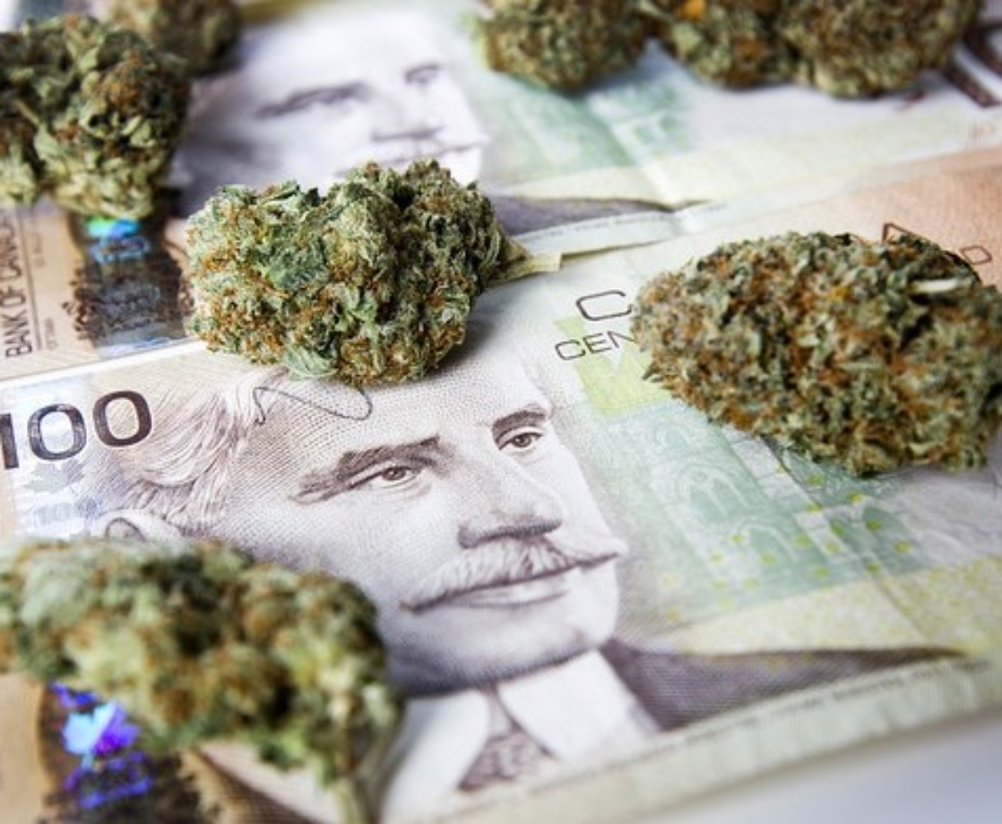 Canadians Bought Over $900 Million of Weed in the First Year of Legal Sales