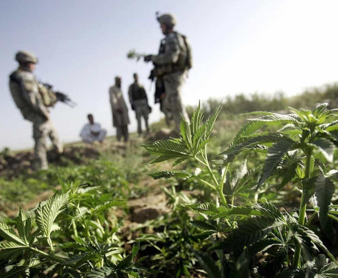 Congress Screws Veterans on Medical Marijuana Rights — Again