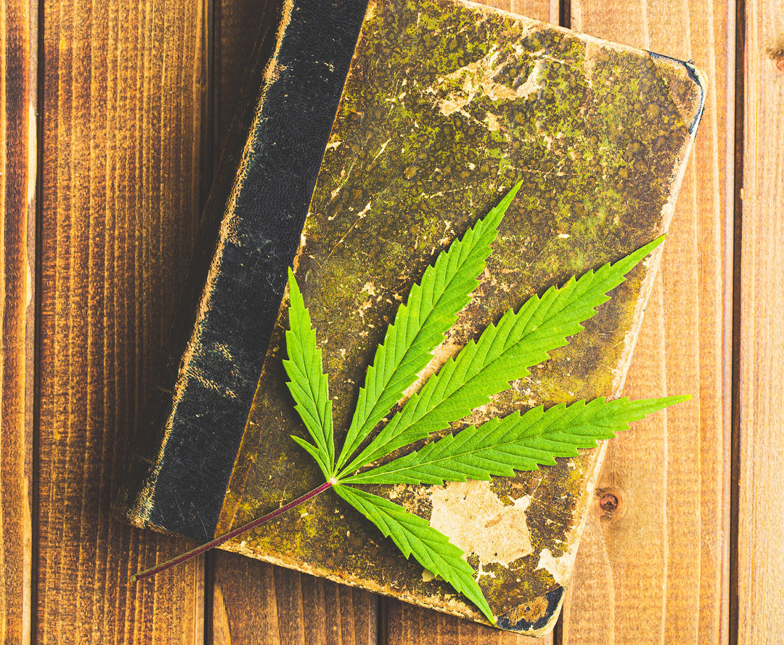 Lit Literature: The Best Weed Books of 2019