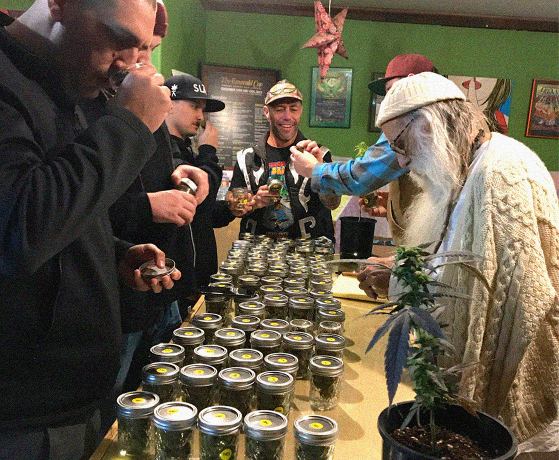 Judging the World’s Best Cannabis Flower with a Volcano at the 2019 Emerald Cup