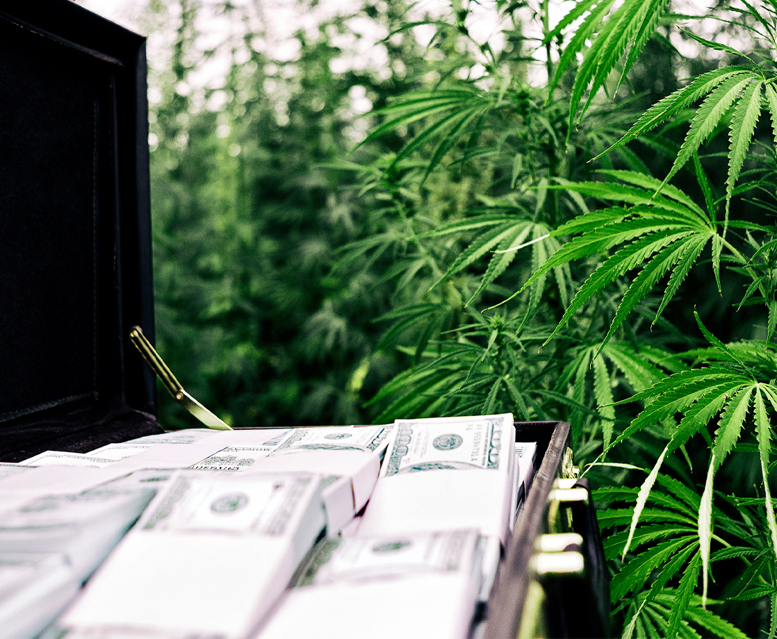 Michigan Racked Up Over $3 Million in the First Two Weeks of Weed Sales