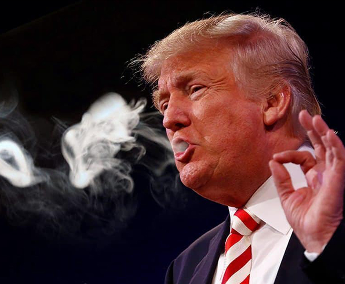 The Stupidest Things Politicians and Pundits Said About Pot in 2019