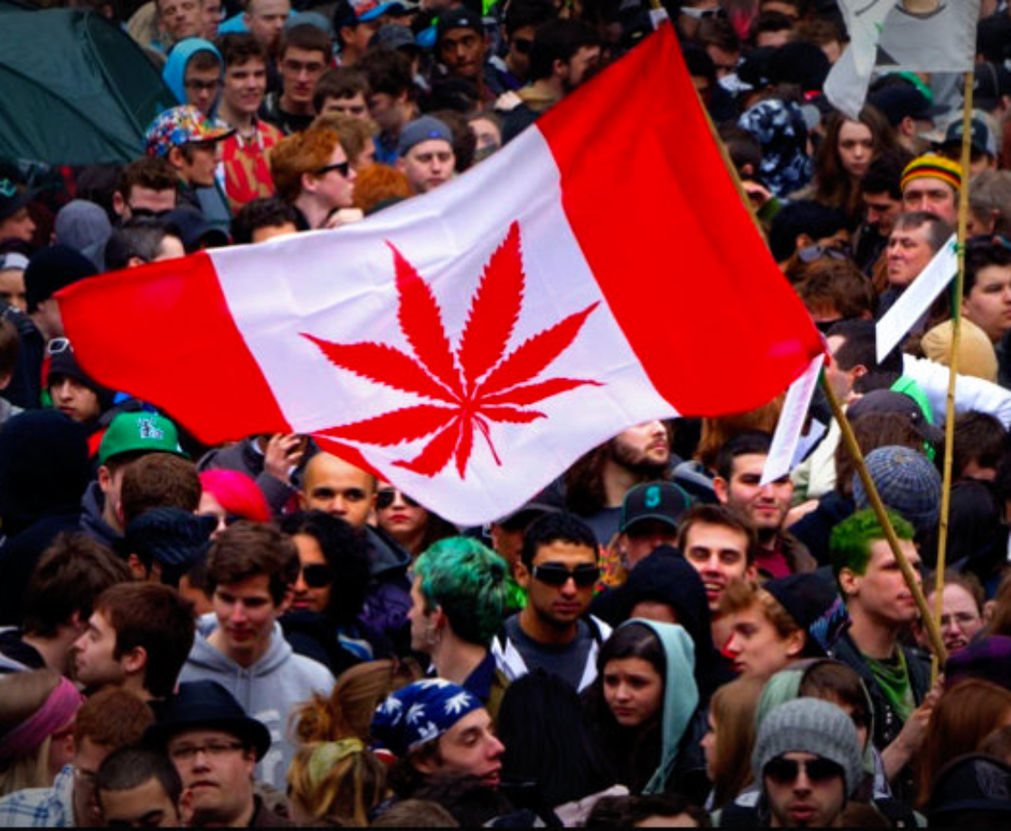 Great White Narc: Canadian Health Minister Tells Adults to Stop Consuming Weed