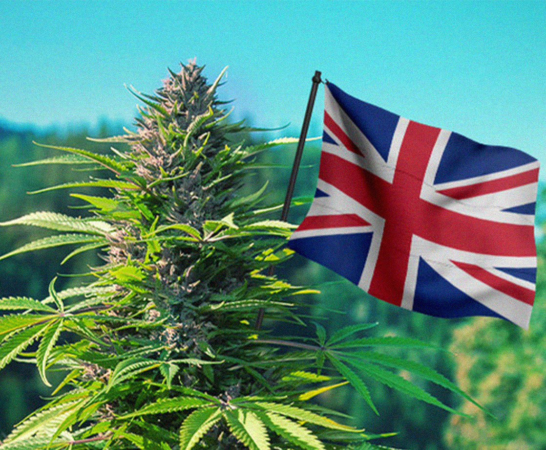 The UK Could Make $4.3 Billion From Weed Sales, But Needs to Legalize First