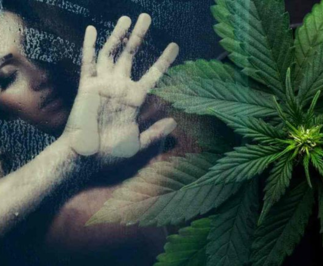 Adults Have More Sex and Babies in Medical Weed States, New Study Says