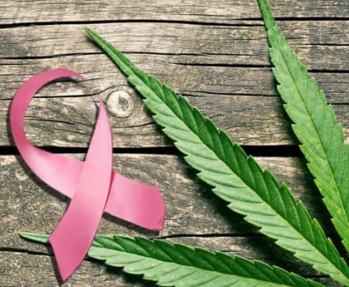 Women with Cancer Use Medical Marijuana Mostly for Pain, Not Nausea