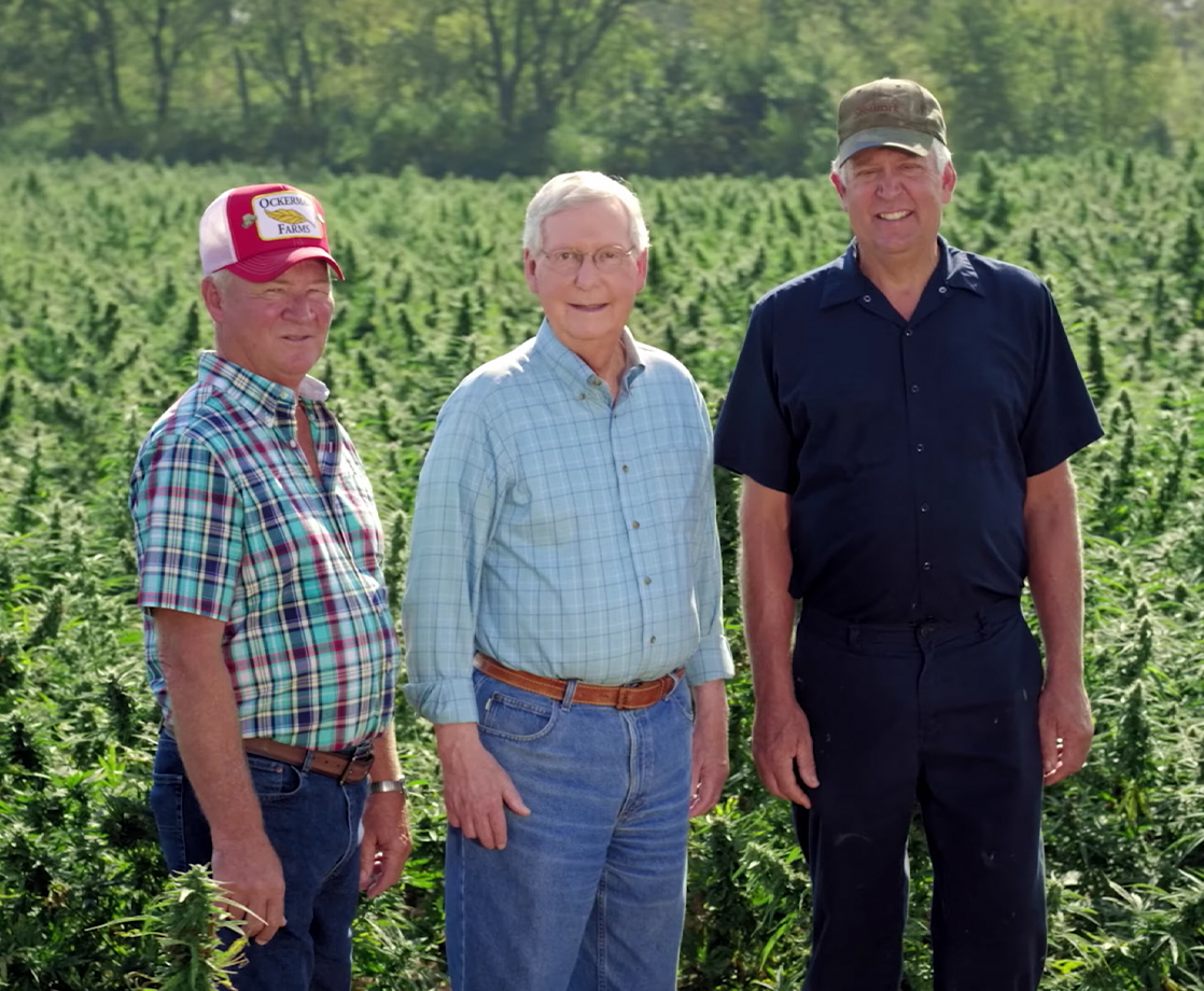 Mitch McConnell Looks Like a Narc in New Campaign Footage Featuring Hemp Farm