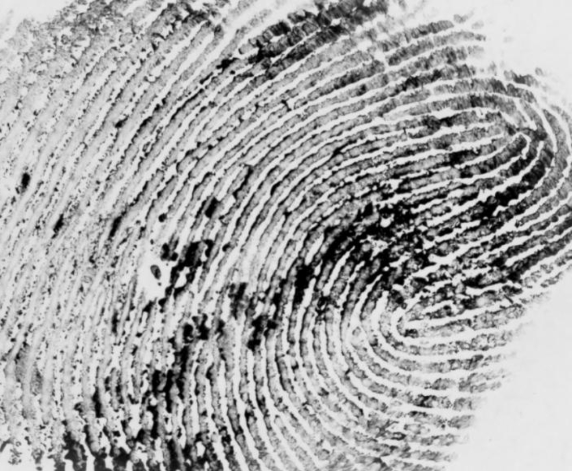 This New Fingerprint Test Can Show if Someone Has Used, or Even Touched, Cocaine