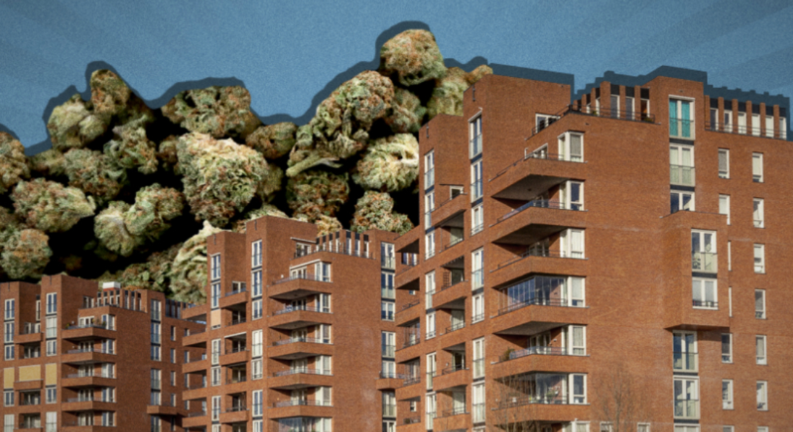 Marijuana Patient in Pennsylvania Sues State After Being Denied Public Housing