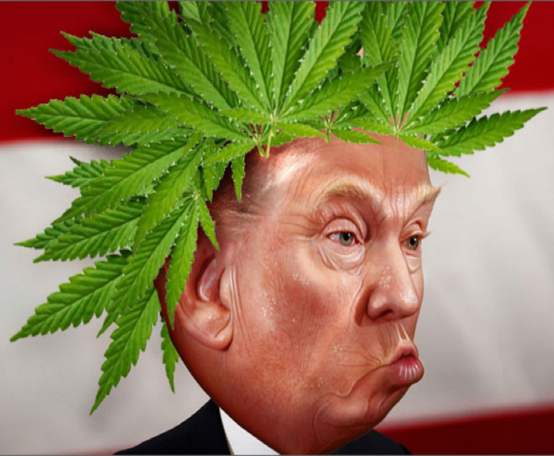 Trump’s New Budget Proposal Will Cause Chaos for Medical Marijuana Patients