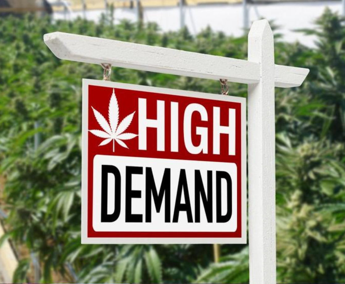 Legal Weed Actually Doesn’t Ruin Housing Markets, Despite Survey’s Findings
