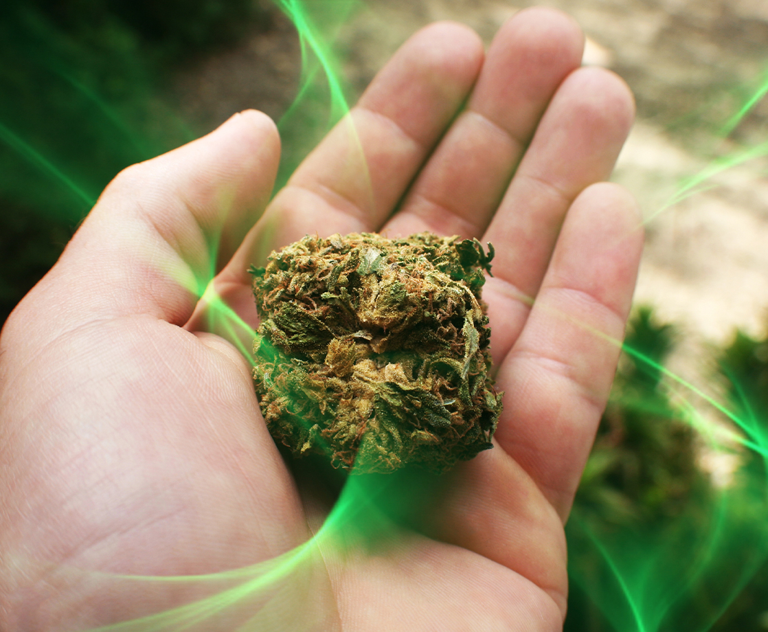 What Are Some of Weed’s Worst Side Effects and Can We Prevent Them?