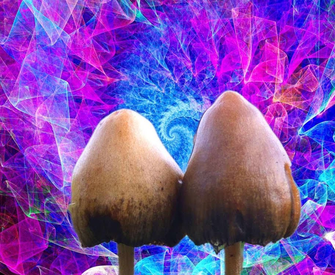 What Is Psilocybin and What Does It Do to Our Brains?