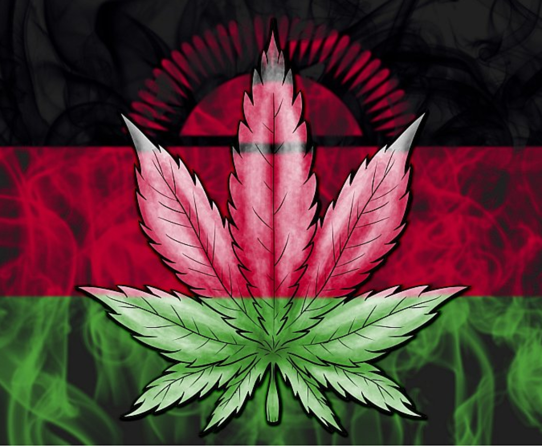 Malawi Is the Latest African Nation to Legalize Medical Cannabis and Hemp