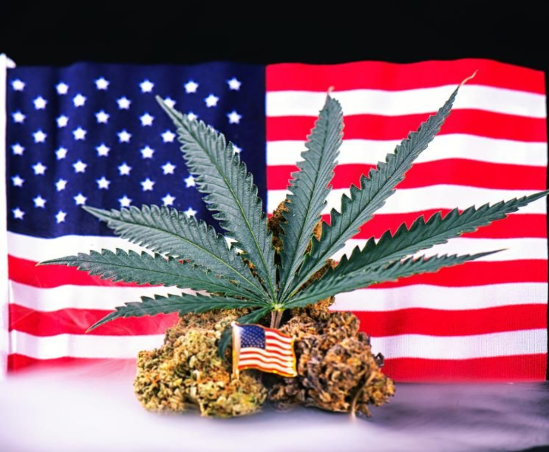 Veteran Affairs Employees Are Also Prohibited From Using Cannabis