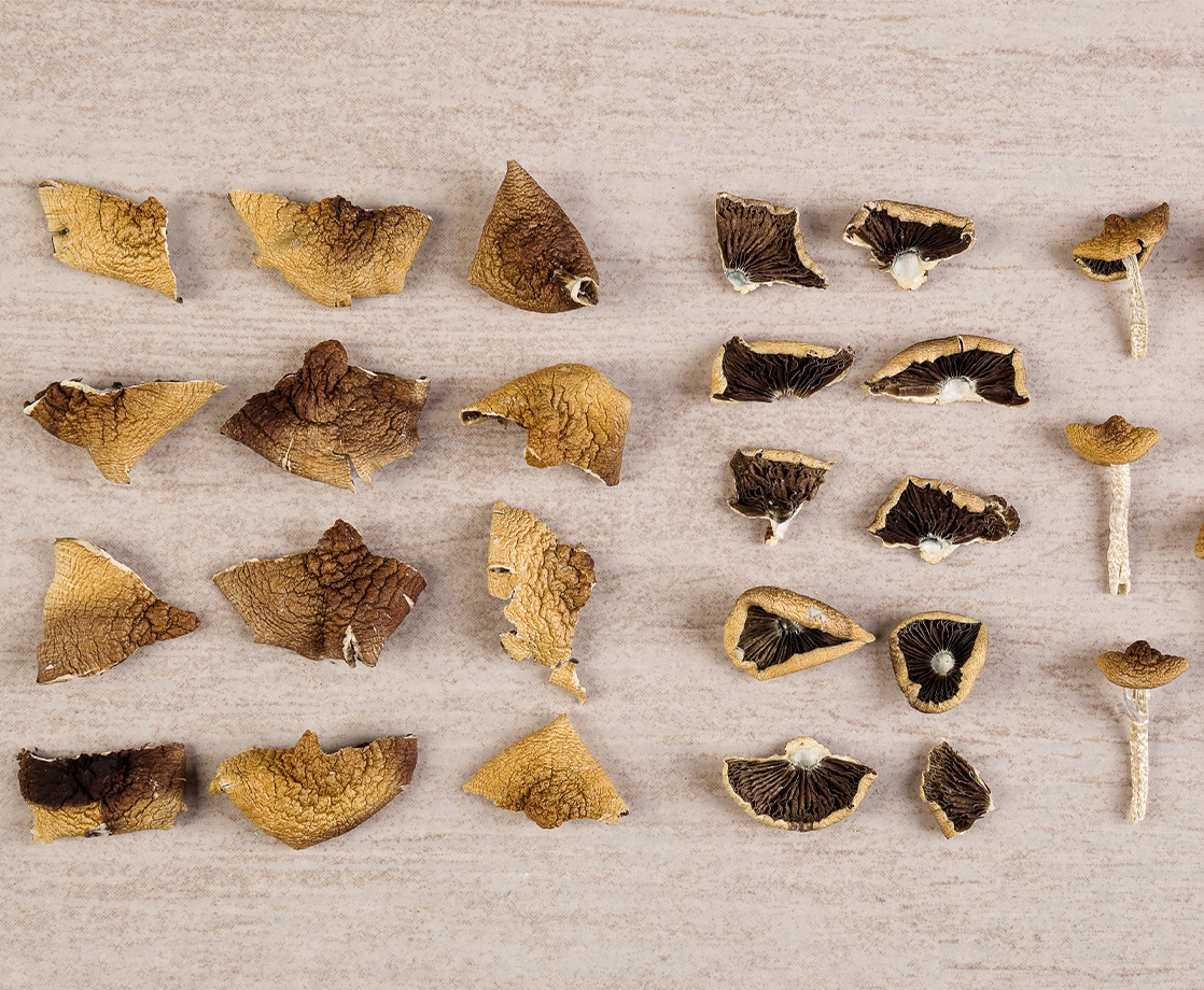 What Are the Differences Among Magic Mushroom Strains and Their Trips?