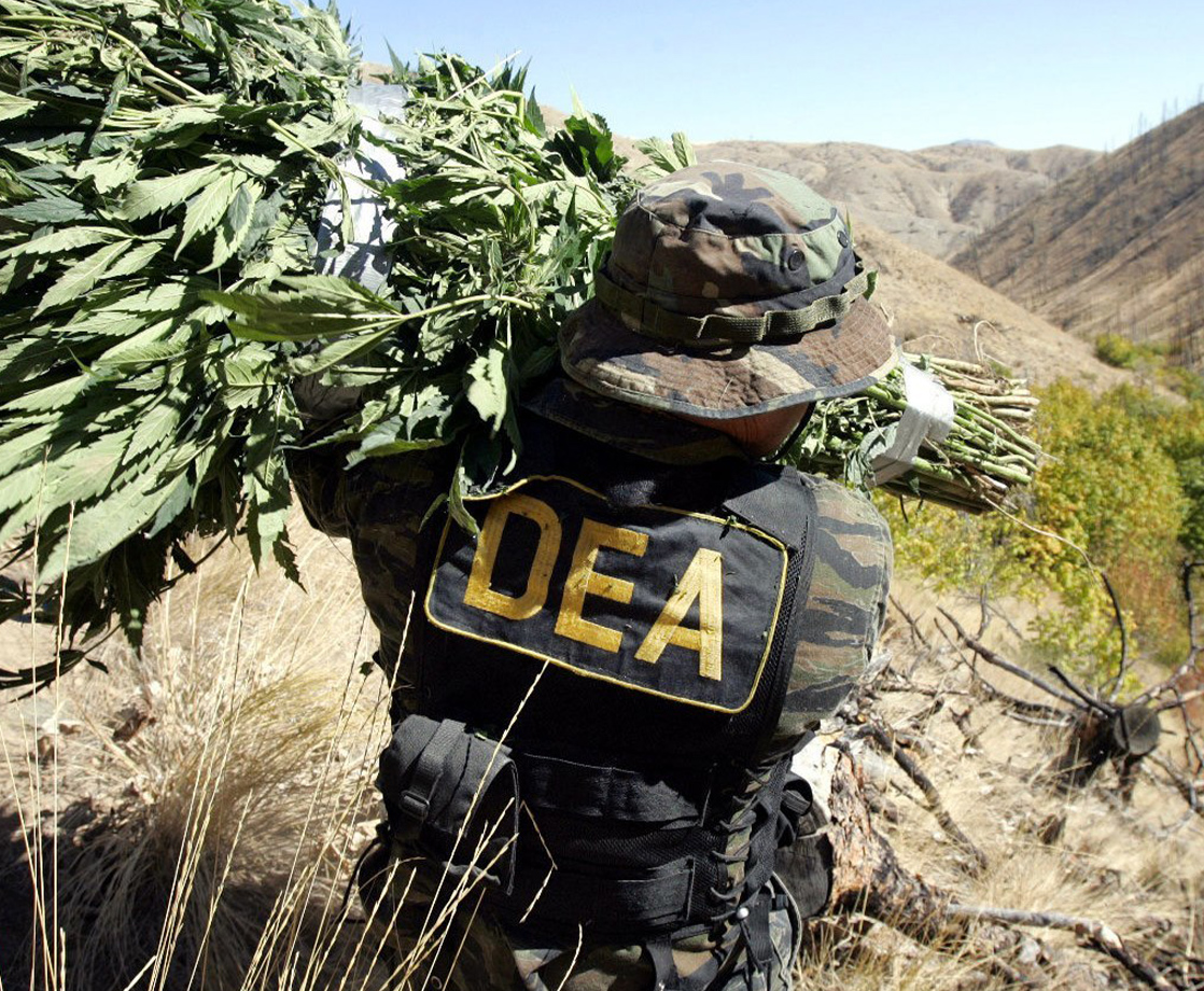 Doctor Sues the DEA Over a “Secret Law” Blocking Cannabis Research