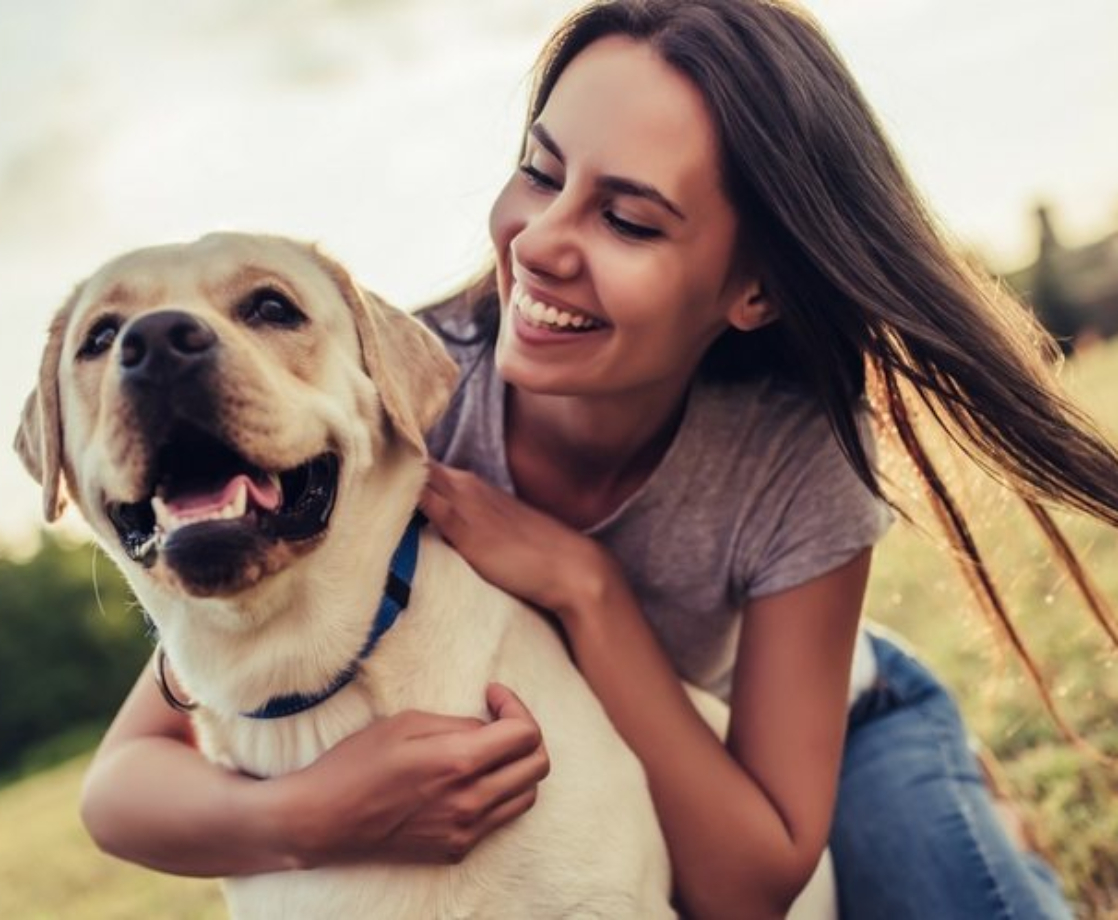 CBD Can Stop Brain Cancer in Humans and Dogs, Study Finds