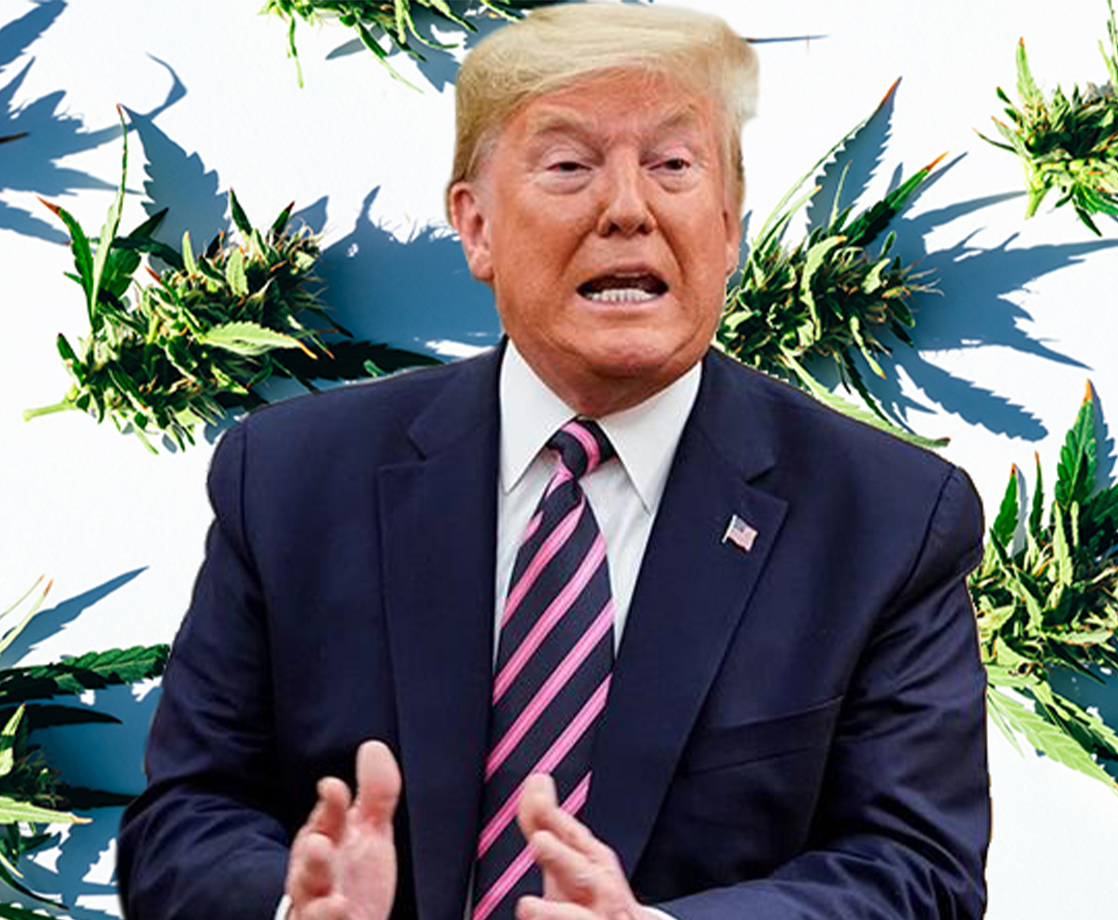Trump Administration Secretly Blocked US Weed Research for Years, Memo Shows