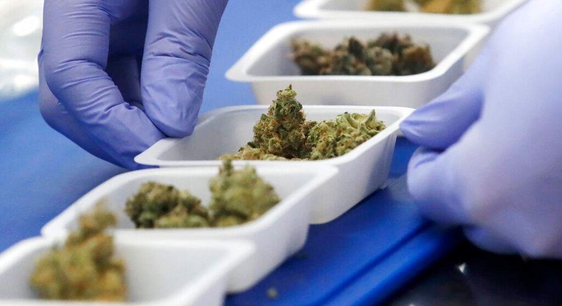 Need a Job? The Weed Industry Is Still Hiring Despite the Economic Downturn