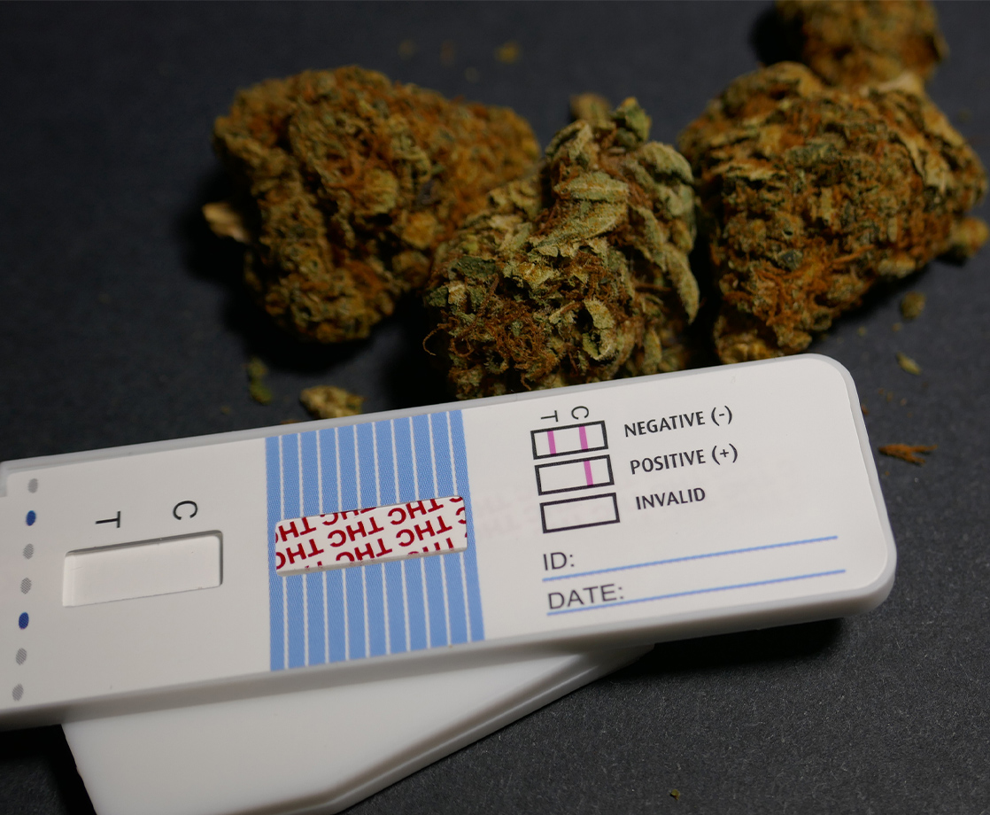 NYC Officially Enacts Ban on Pre-Employment Cannabis Testing (With Exceptions)