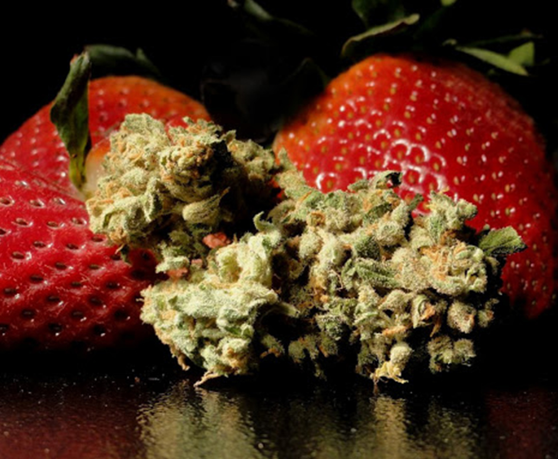 What Is “Strawberry Cough” Weed and Does the Strain Actually Taste Like Fruit?