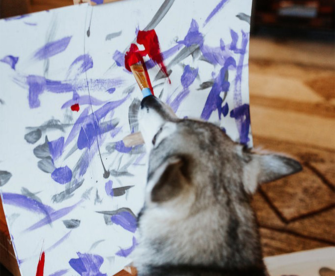 Buy a Painting Made by a Dog, Get Free Weed at This Washington DC Art Gallery
