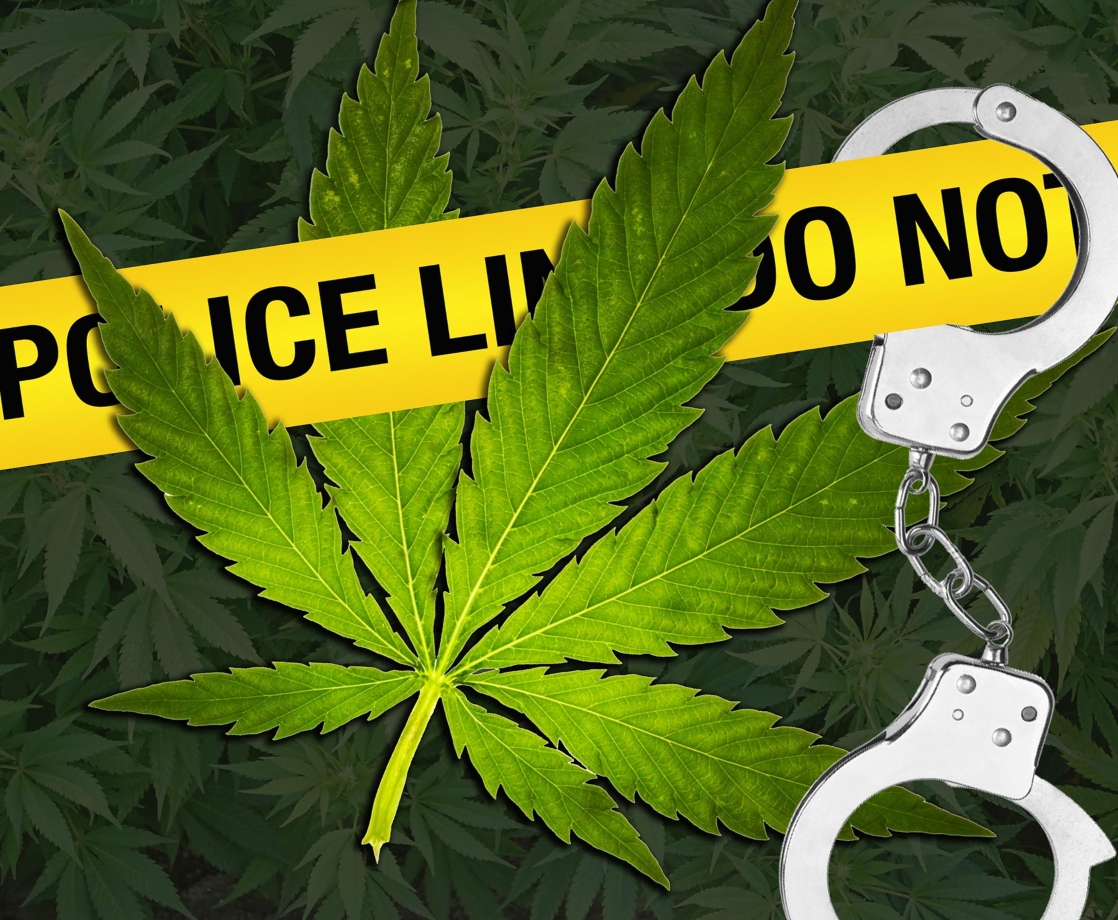 Former Cannabis Employees Arrested for Murdering Their Ex-Boss Near Grow Op