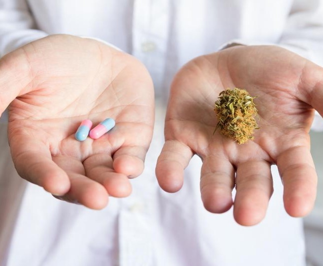 Doctors Prescribe Certain Opioids 20% Less in Medical Marijuana States, Study Finds