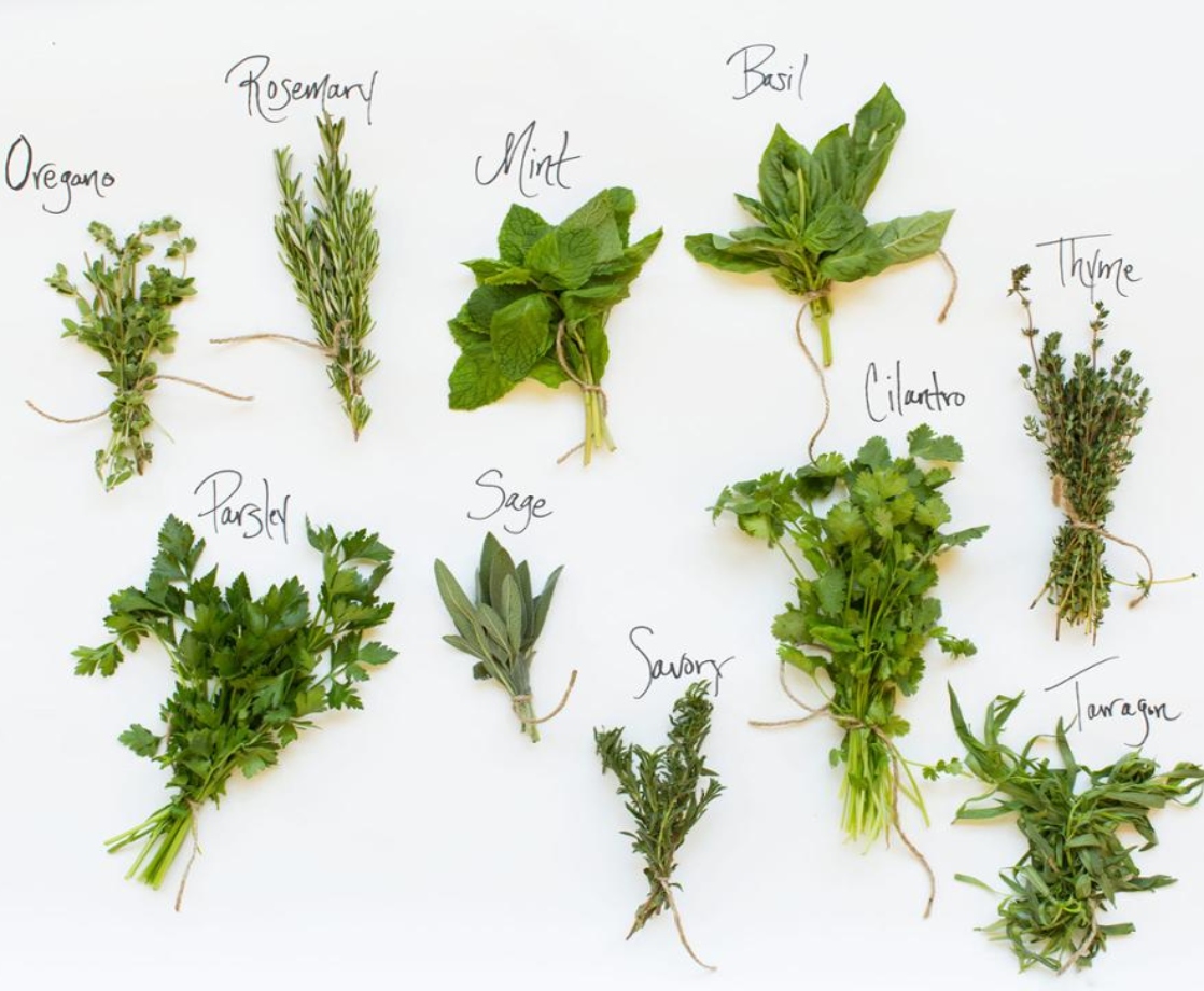 Herbal Refreshments: What You Need to Know About Blending Herbs in Your Weed