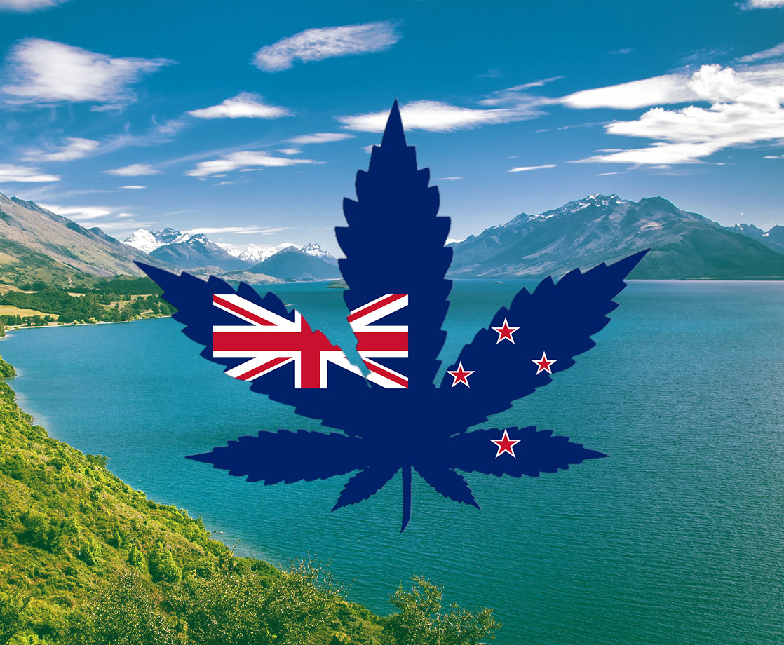 56% of New Zealanders Say They’ll Vote “Yes” on Weed Legalization This Fall