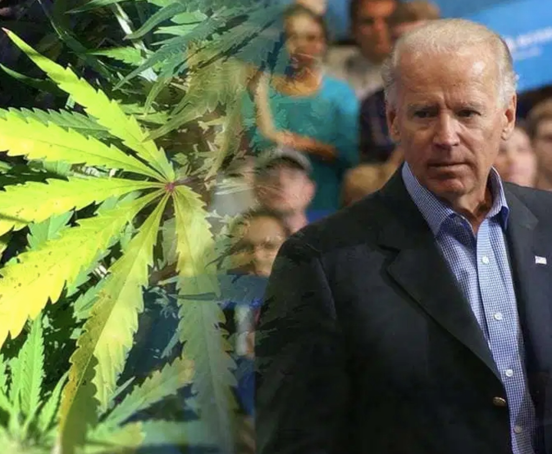 Most Americans Want Full Weed Legalization, But Biden’s Task Force Doesn’t Advise It