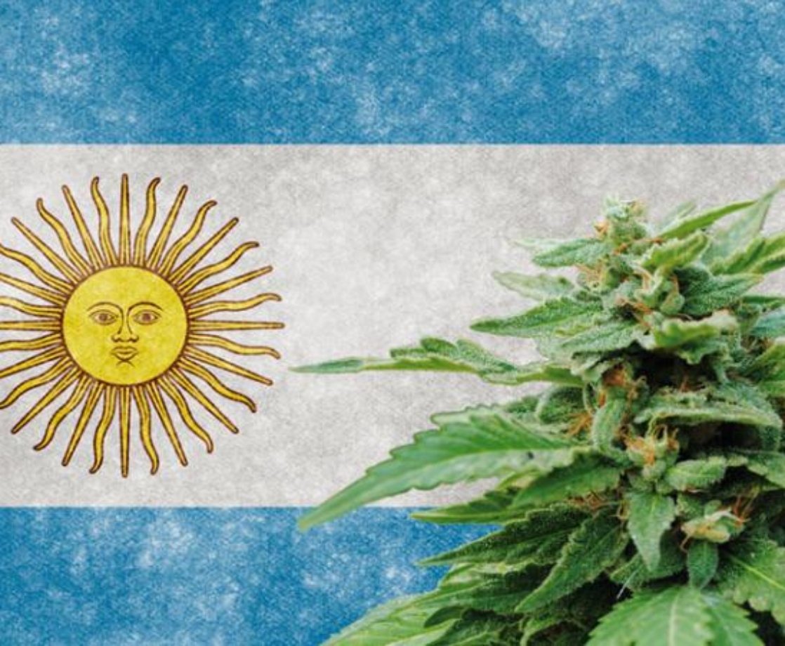 Argentina Just Expanded Its Weed Laws to Allow Pharmacy Sales and Home Cultivation