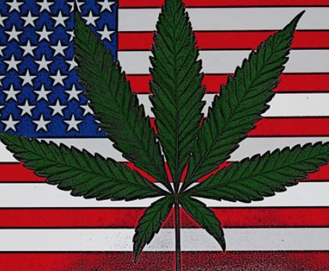 Federal Weed Legalization Is Likely to Happen If Democrats Win 2020 Election