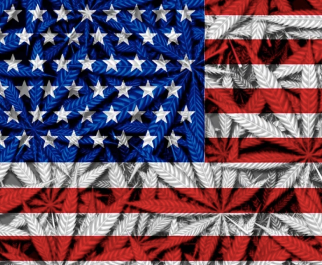 Congress Has Plans to Vote on Federal Cannabis Legalization This September