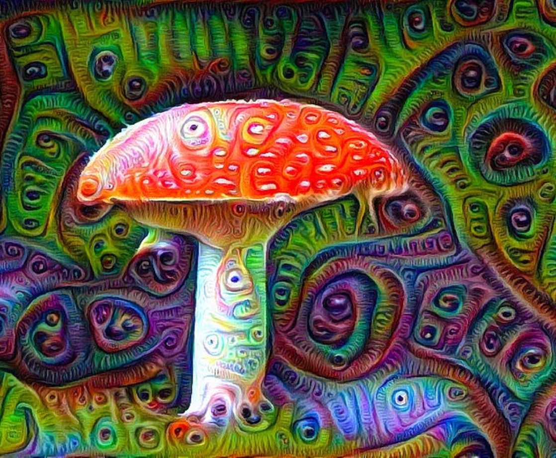 Washington DC Will Officially Vote on Decriminalizing Natural Psychedelics This November